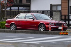 また逢えたあのジャガー・XJ-8
