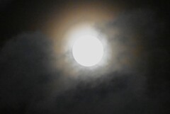 満月の夜・10月17日ハンターズムーン（スーパームーン） 