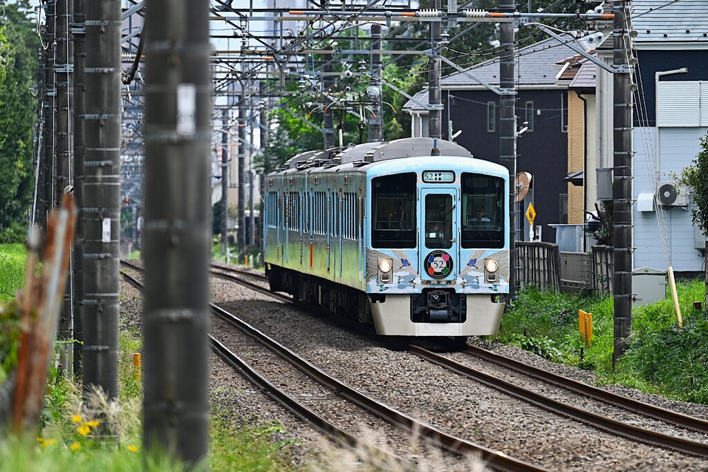 晩秋沿線・西武新宿線52席の至福