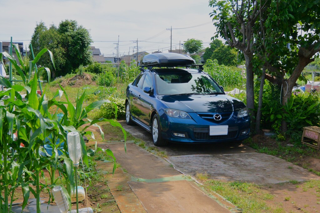 菜園・愛車