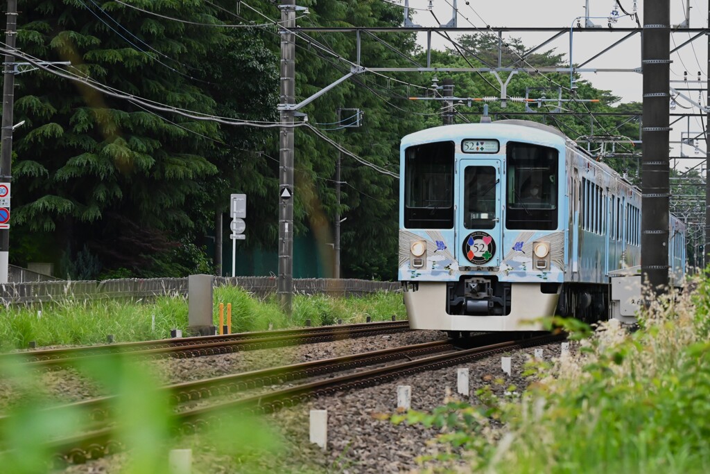 薫風沿線・52席の至福（フロントカラー青）
