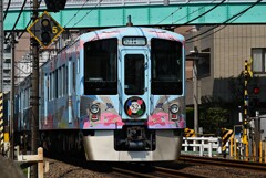 黄砂沿線・52席の至福リアビュー