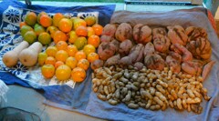菜園・10月10日の全体収穫 