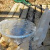 菜園・2.5㎝のバケツの氷