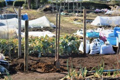 3本目の支柱立て込み中