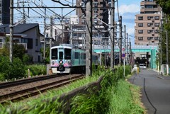初秋沿線・高くなった空に52席の至福（リアビュー）