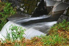 Ｋ川中流域・川に流れ込む下水道、スローシャッターで・・