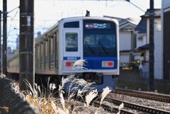 ススキ沿線・西武線6000系