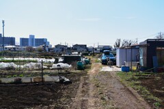 菜園・春シーズンスタートのジャガイモ (道具小屋周辺と愛車)