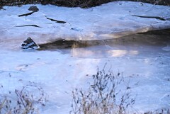 Ｋ川中流域・氷る川面
