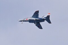 菜園・入間航空祭のT-4練習機