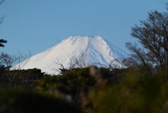 KR園・白金富士山
