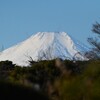 KR園・白金富士山