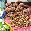 菜園10月29日・化け物サツマイモとラッカセイ