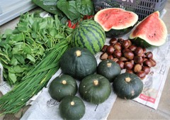 2017年8月27日・菜園収獲.