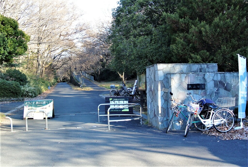 多摩湖堤防下の狭山公園