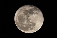 2025年4月14日の月（ピンクムーン翌日）