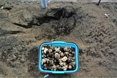 保存穴埋め作業