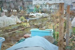 新菜園・道具小屋撤去完了