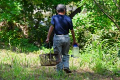 K川・生き物捕獲隊