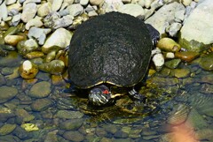 K川下流域・あ～～っ、気持ちいい！！