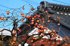 心の旅