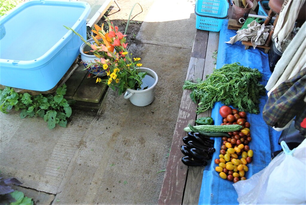 道具小屋前風景
