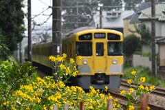 キクイモ沿線・西武2000系新宿へ・・