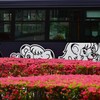 西武ライオンズバス・レオとライナ