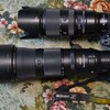 下：Z5＆NIKKORZ180mm－600mm本体レンズキット