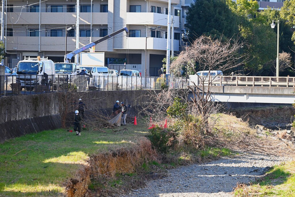 K川・護岸伐採中の風景 