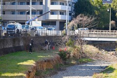 K川・護岸伐採中の風景 
