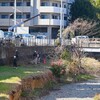 K川・護岸伐採中の風景 