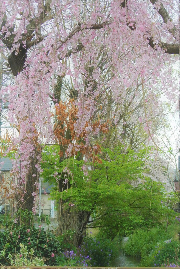 水面の色どり