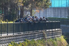 都内S川・ヤマシギ撮影風景