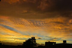 我が家のベランダより・8月28日の朝空