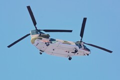K川上空・自衛隊ヘリコプター（CH-1チヌーク）