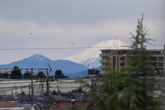 我が家のベランダより富士山 