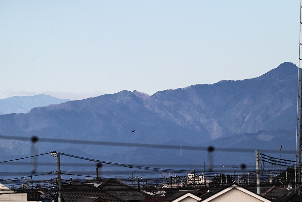 左奥三頭山・右端のピーク大岳山