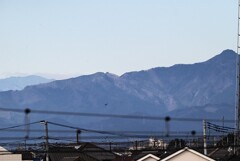 左奥三頭山・右端のピーク大岳山
