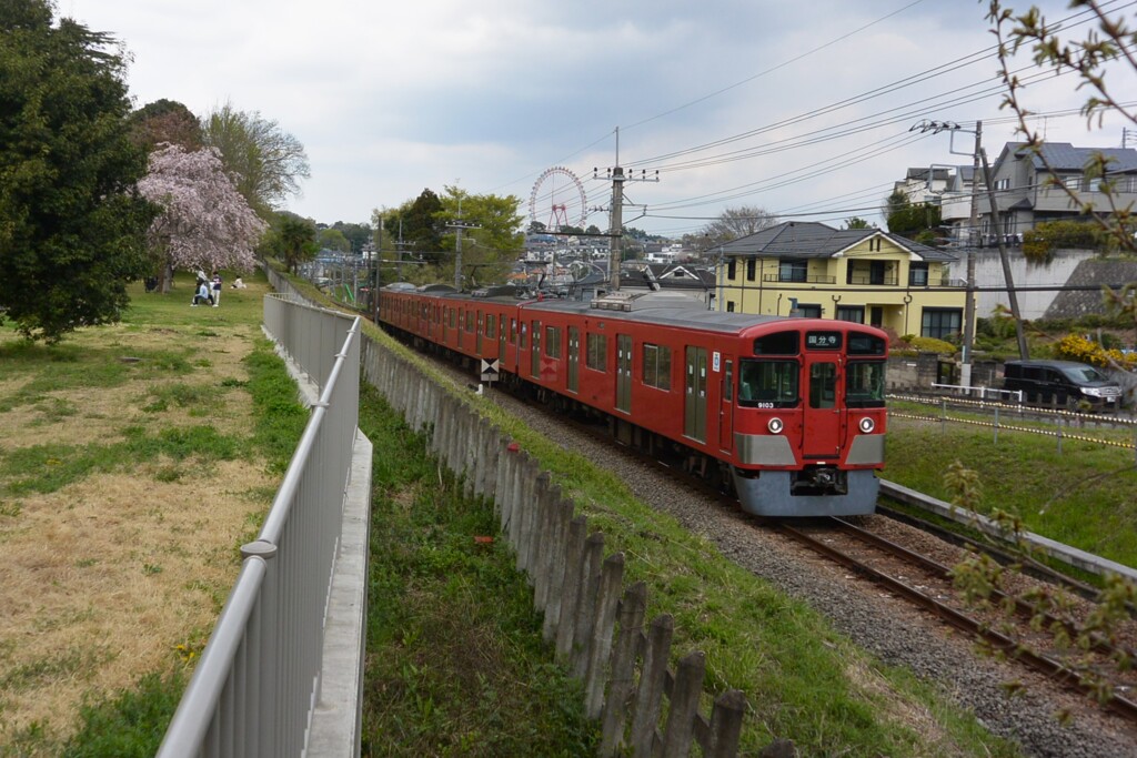 3年ぶりに家内と花見 