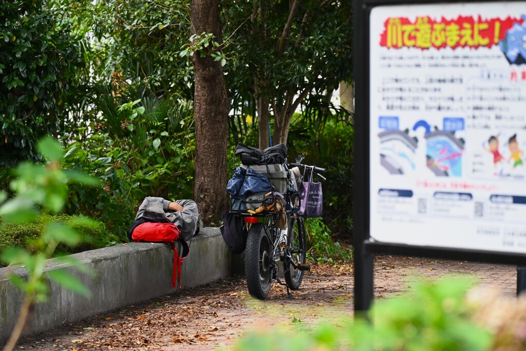 K川沿道・木陰でひと眠り