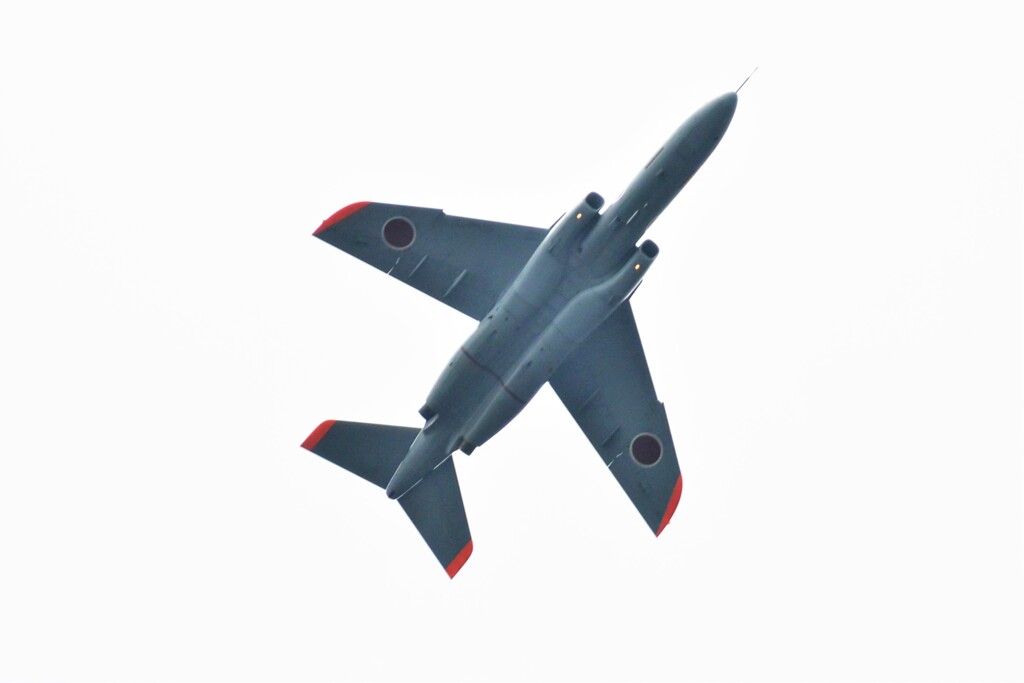 菜園の空から・・