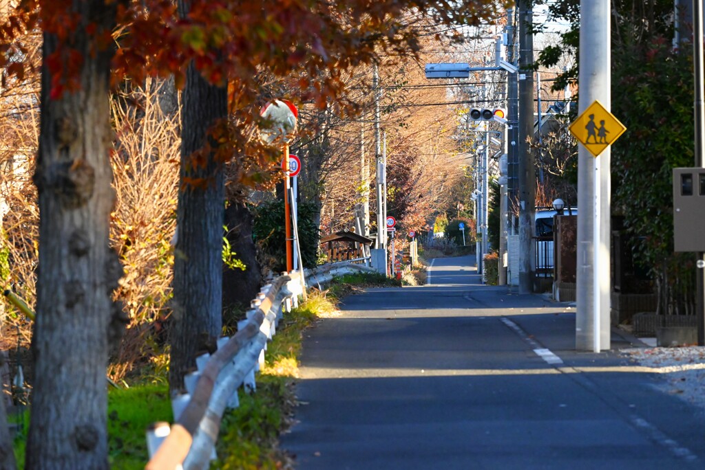 用水路沿道・正月2日の朝