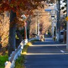 用水路沿道・正月2日の朝