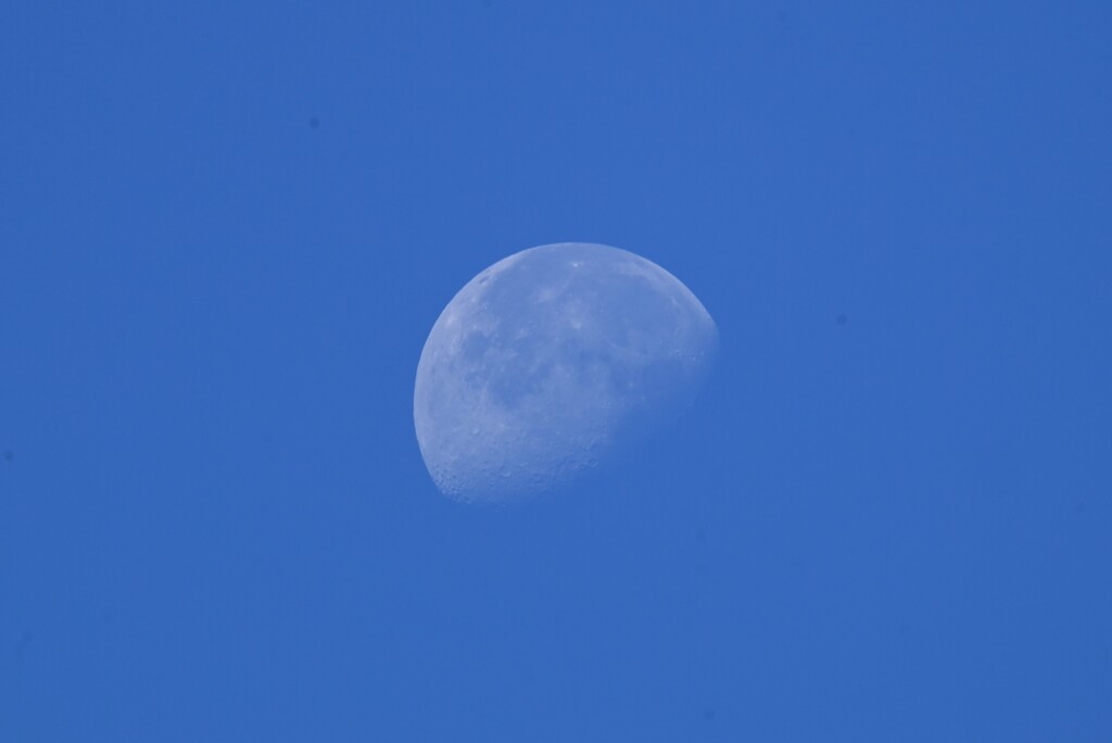 菜園上空AM8時26分・西の空に下弦の月