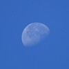 菜園上空AM8時26分・西の空に下弦の月