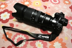 夢のフルサイズデビュー