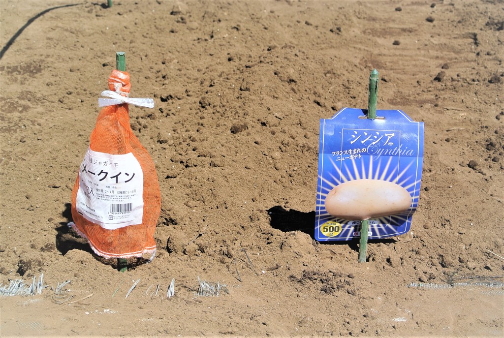 品名ラベル設置