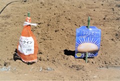 品名ラベル設置